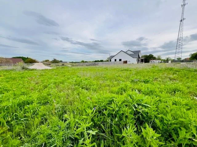 Photo of 105 Chelsea CIR