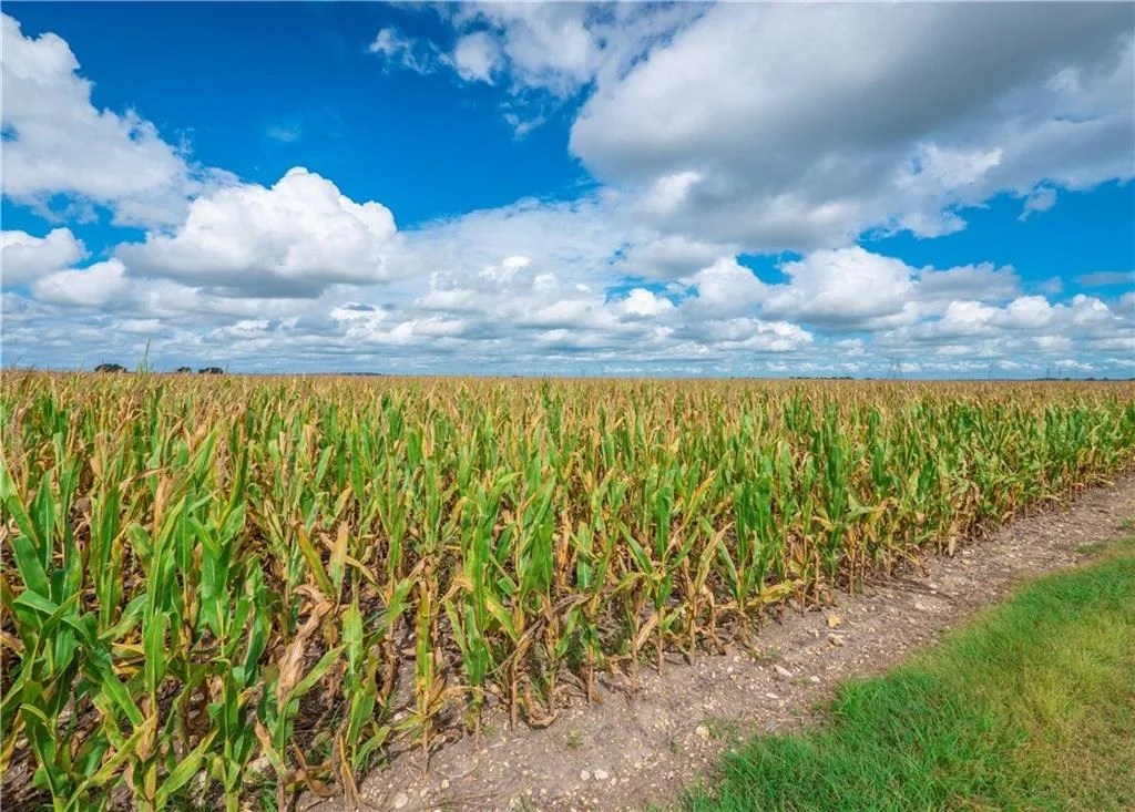 Photo of 703 County Road 368