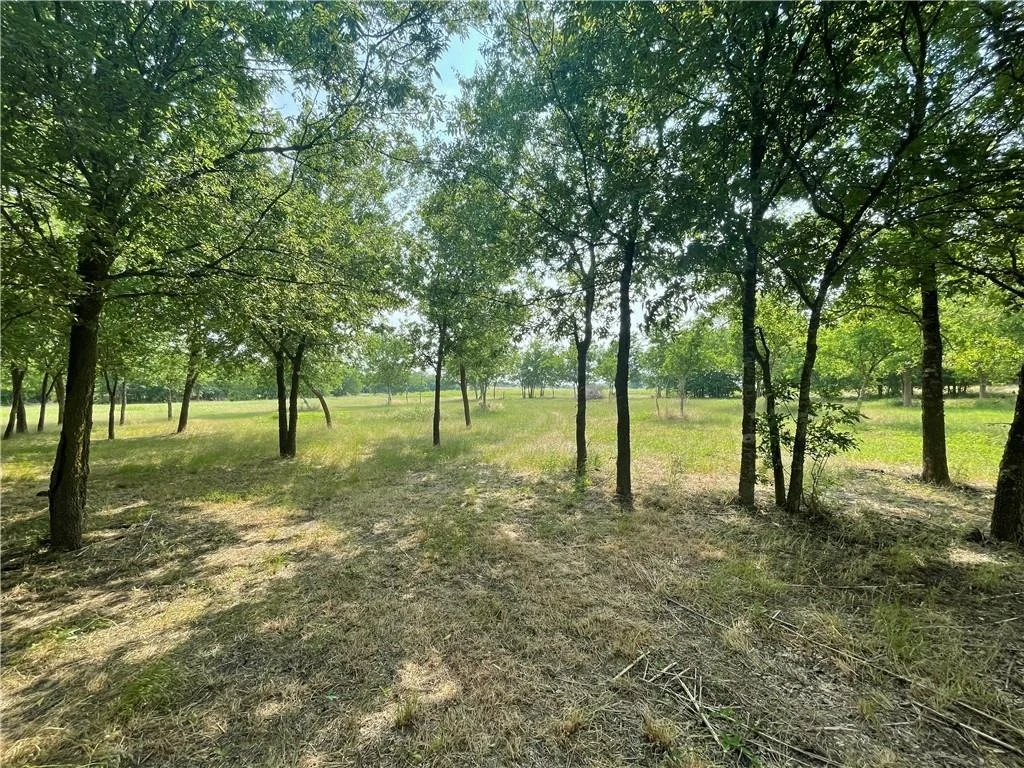 Photo of 189 CO RD 407