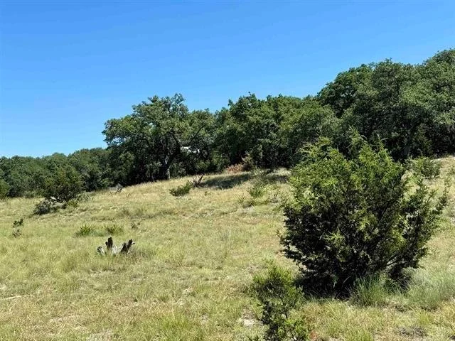 Photo of 159 Axis WAY