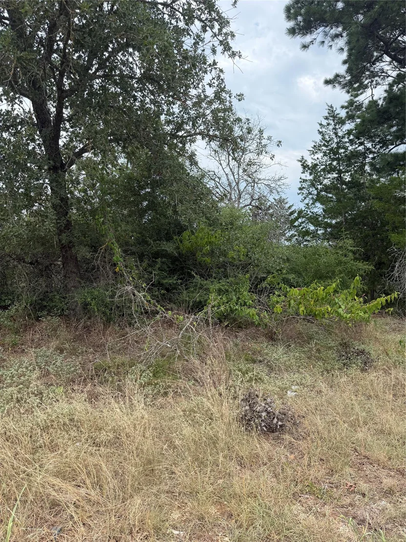 Photo of Lots 236 and 237 Kaelepulu LN