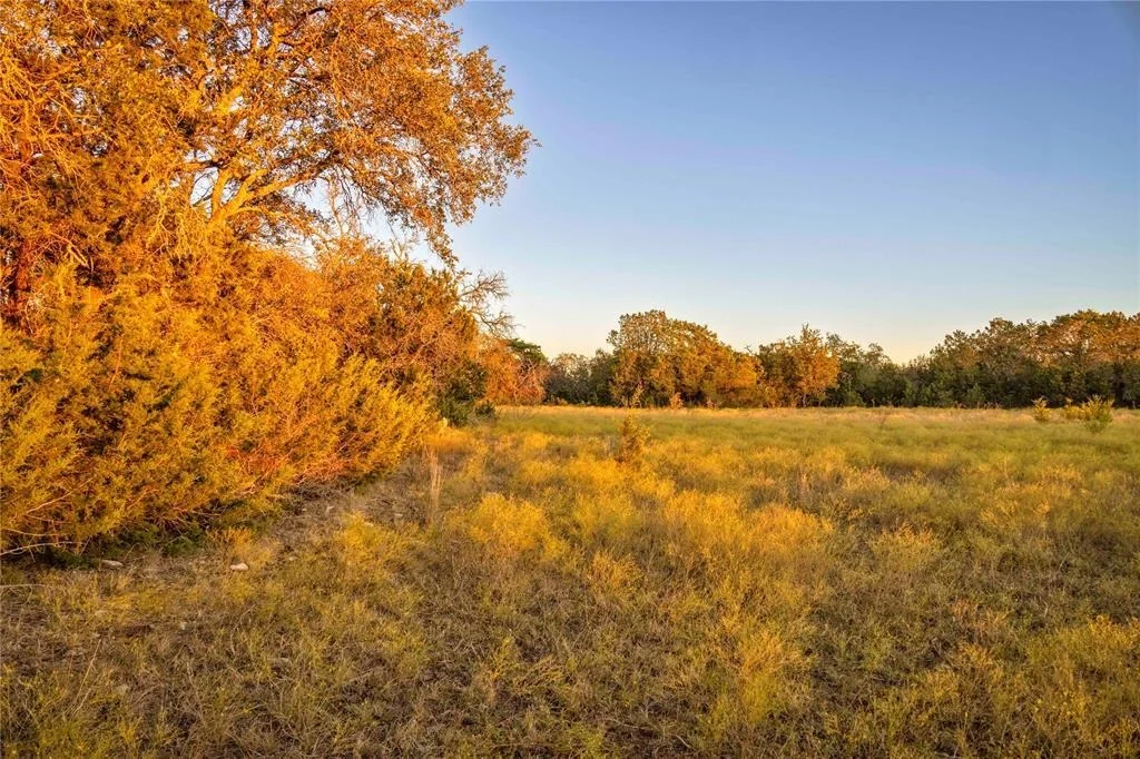 Photo of Lot 69 Mourning Dove LN