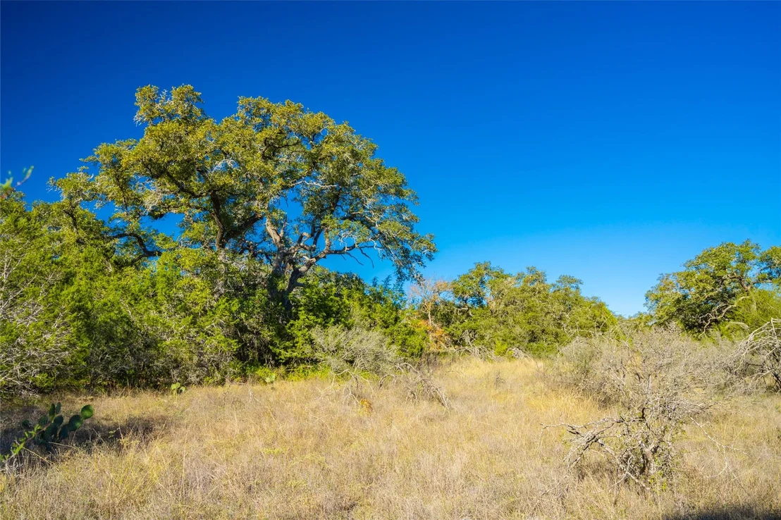 Photo of 00 Quail Run DR
