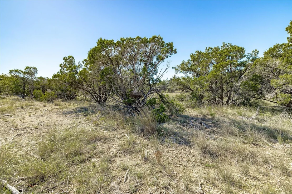 Photo of TBD County Road 281 Lot 1