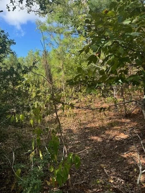 Photo of Lots 1338 and 1339 Tahitian DR