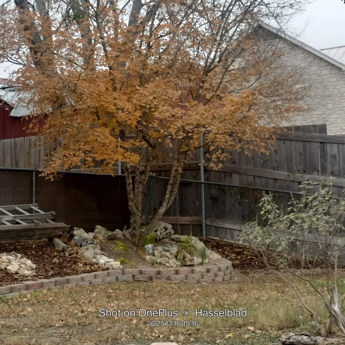 Photo of 131 High Gabriel DR