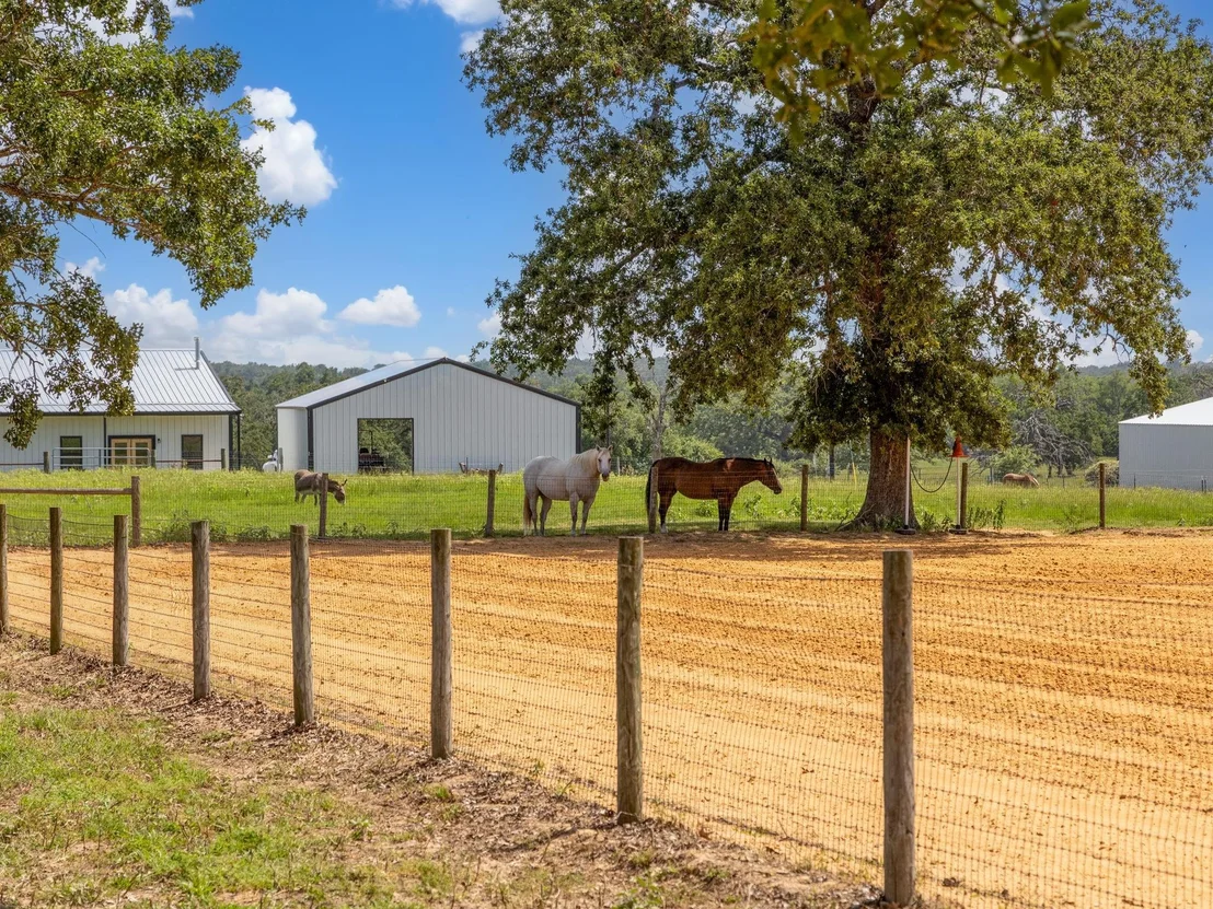 Photo of 2995 County Road 442