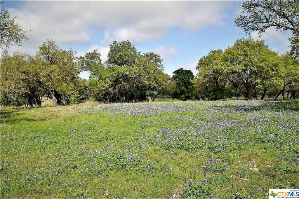 Photo of 1290 County Road 4765