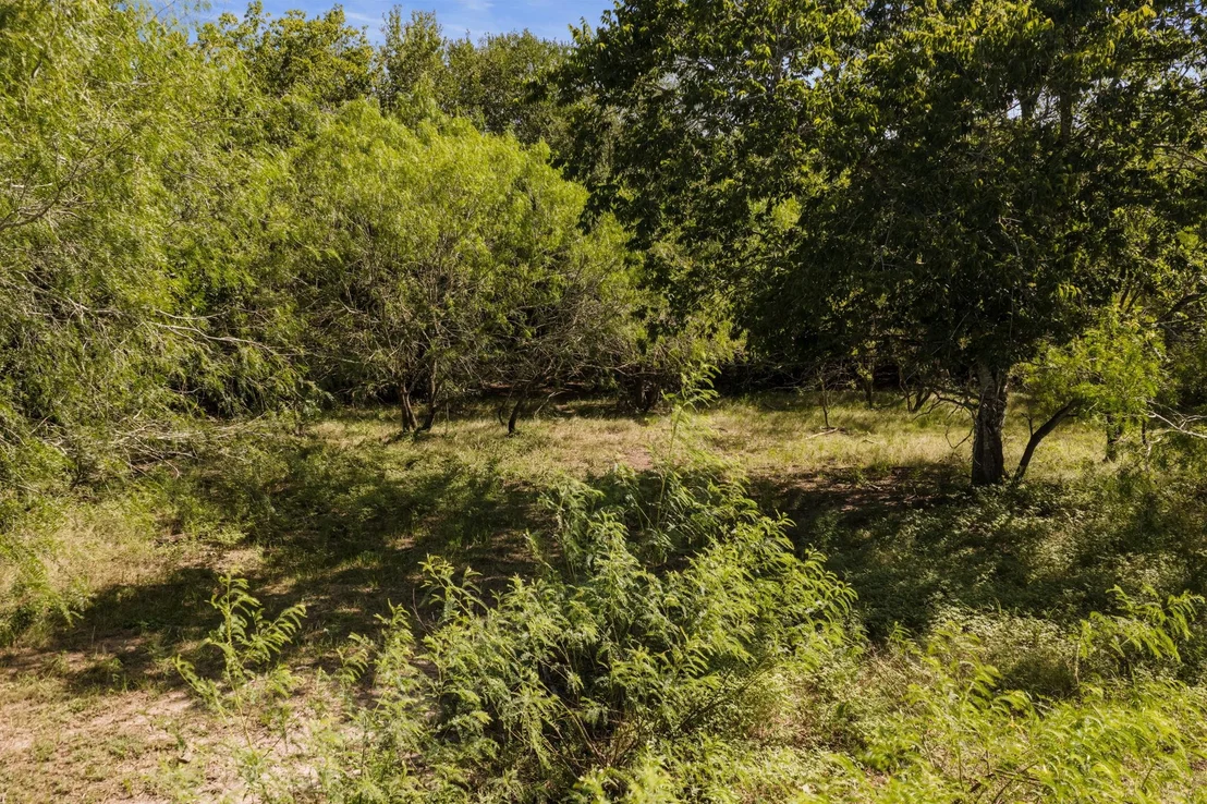 Photo of 625 Callihan RD