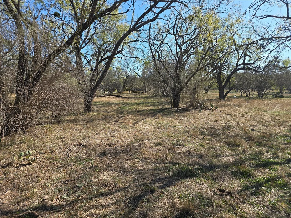 Photo of 101 Springfield DR