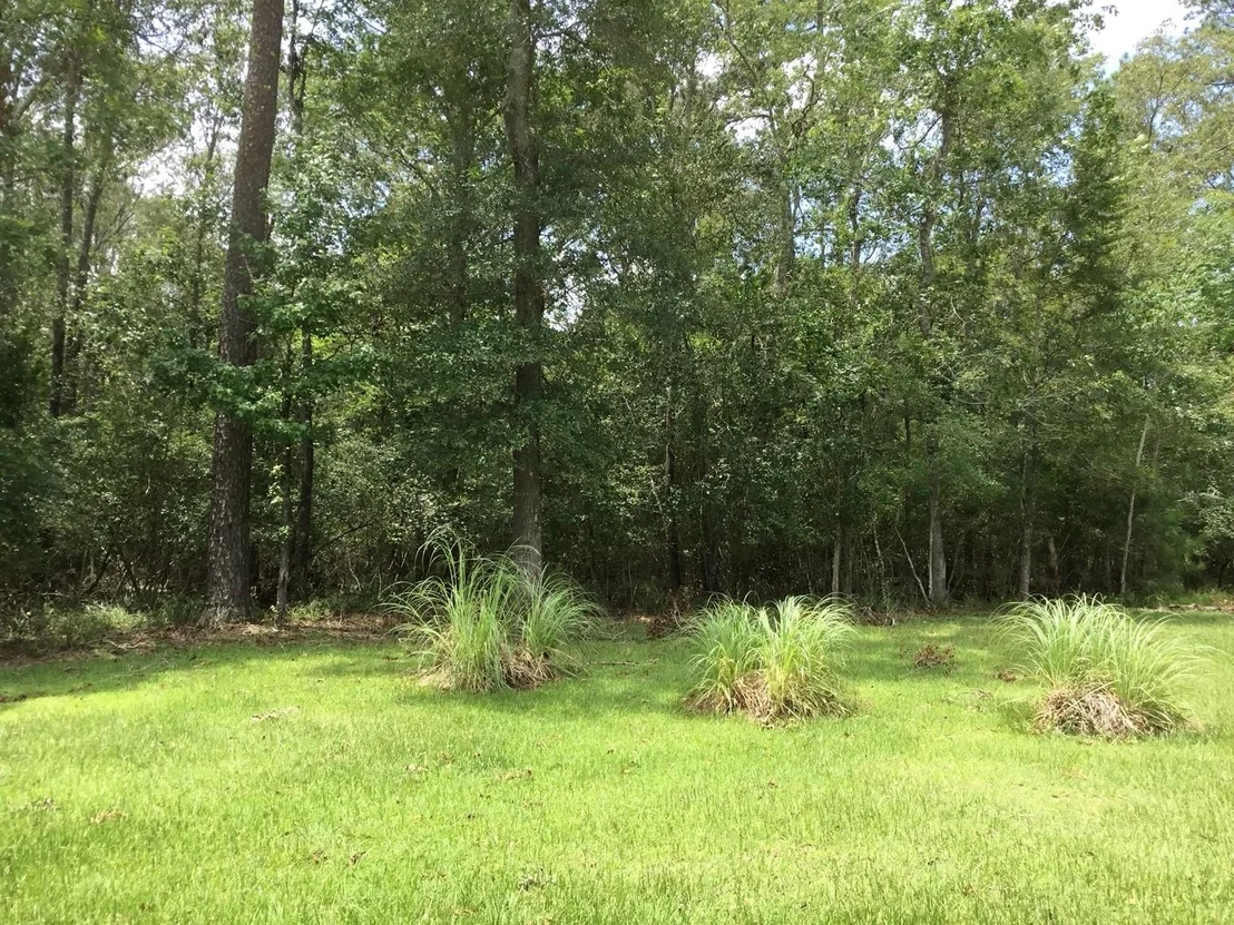 Photo of TBD Echo LN