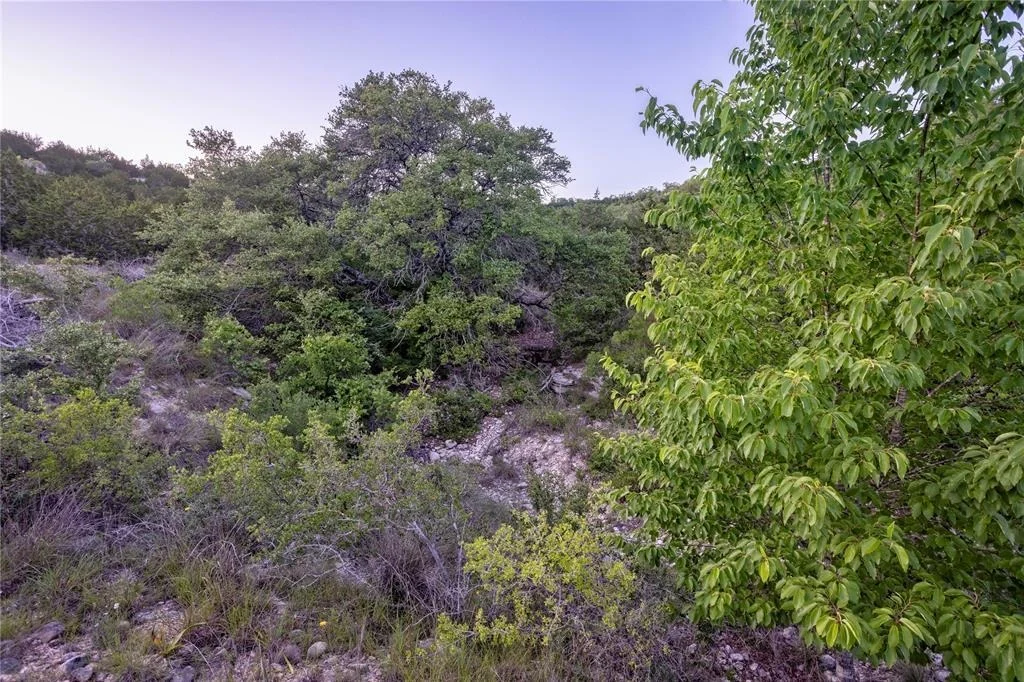 Photo of 197 Sierra DR