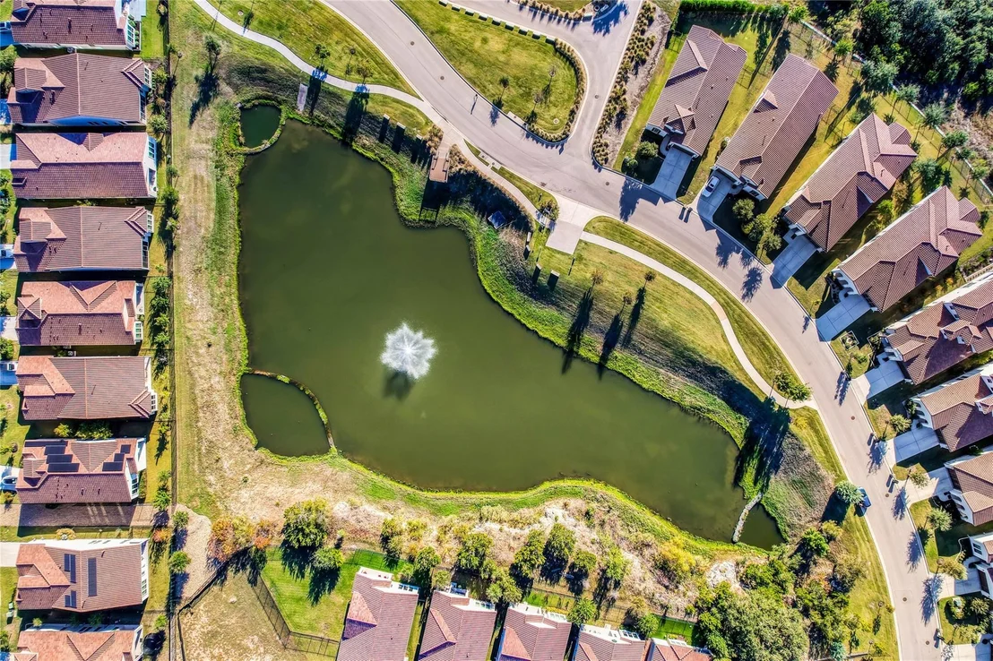 Photo of 4300 Flameleaf Sumac DR
