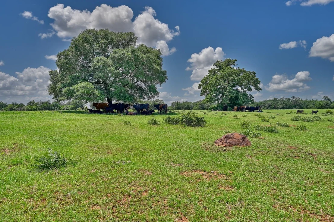 Photo of 1368 County Road 207