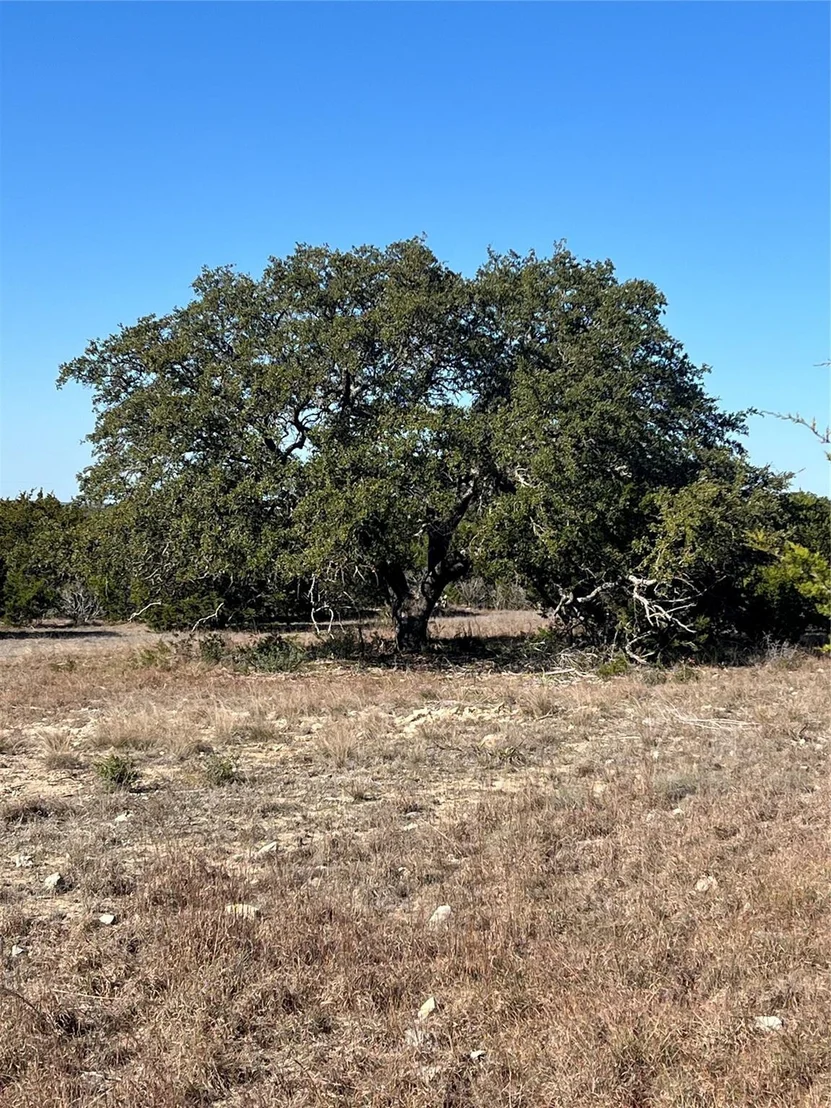 Photo of Lot 138 High Point DR