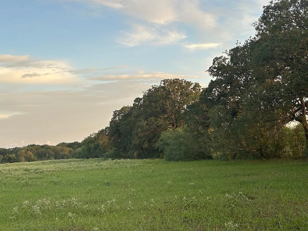 Photo of 9590 Maynard Hallmark RD