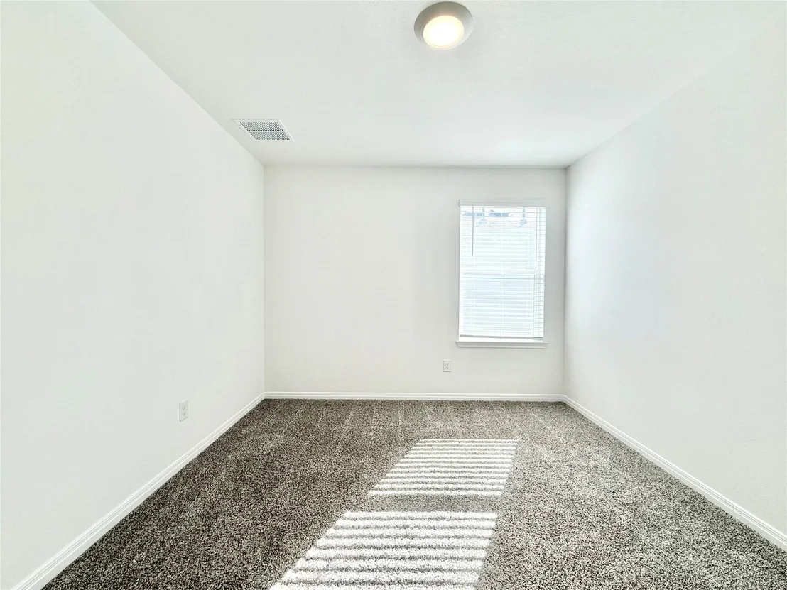 Photo of 598 Gladiola LOOP