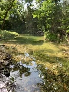 Photo of LOT 12 Arrowhead Trail