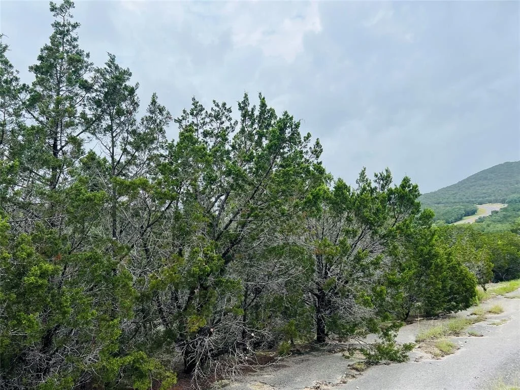 Photo of 21603 Wyoming PASS