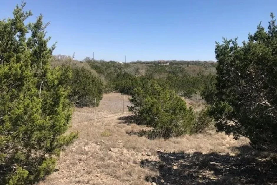 Photo of 517 Left Fork PL