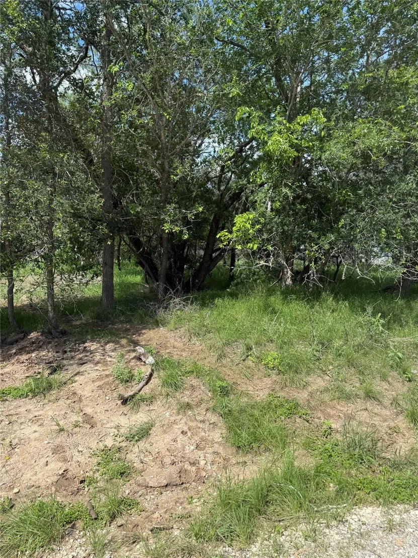 Photo of Lot 200 Nene LN