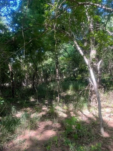 Photo of 366 Riverside DR