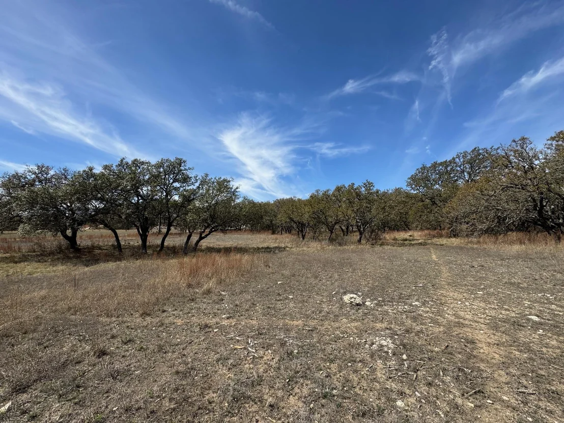 Photo of Lot 47 Eland LN