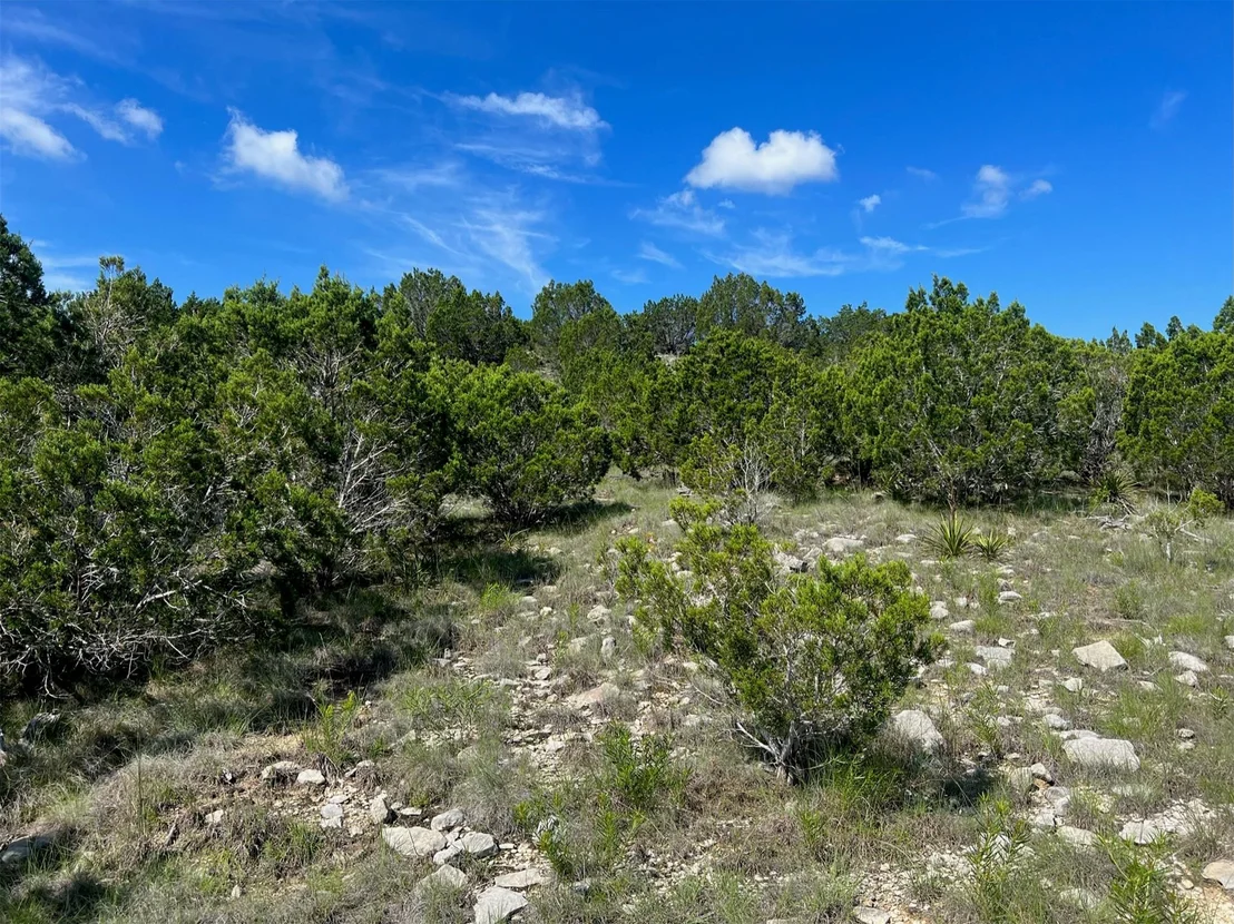 Photo of Lot 652 Wagon Wheel TRL
