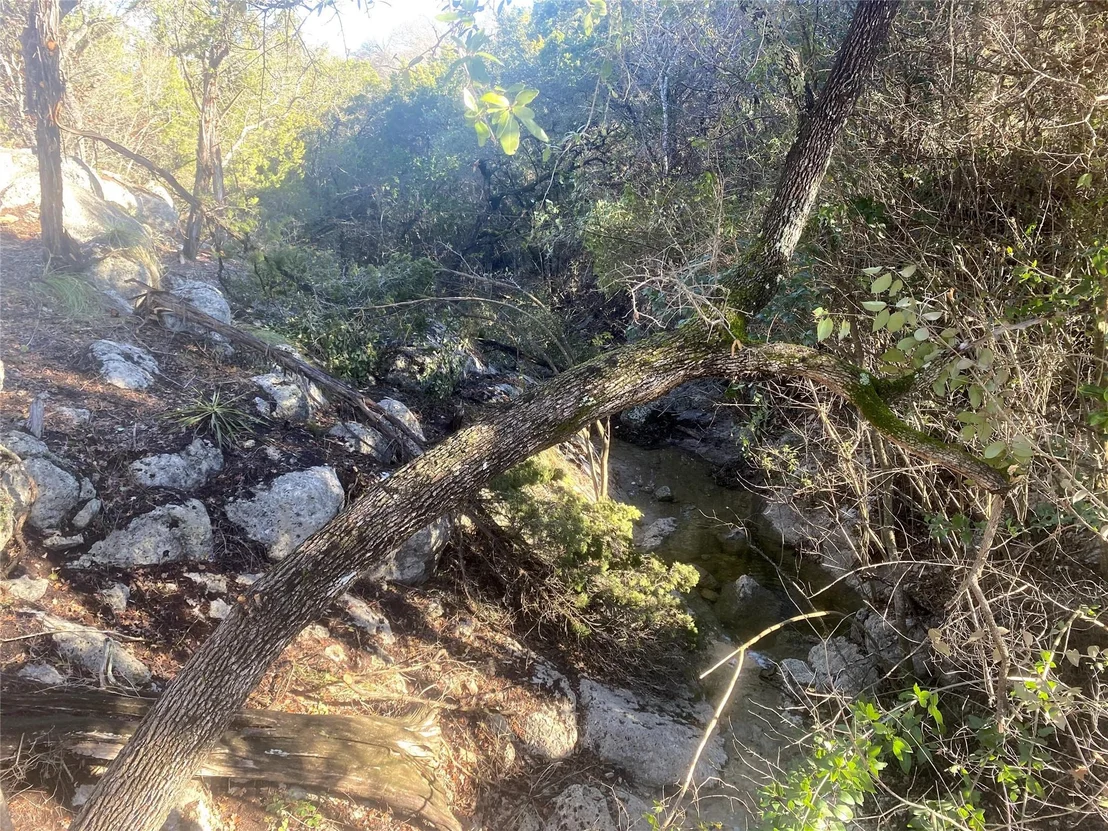 Photo of 2001 Lipan TRL