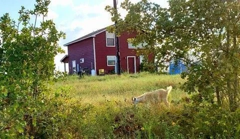 Photo of 143 Spring Hollow TRL