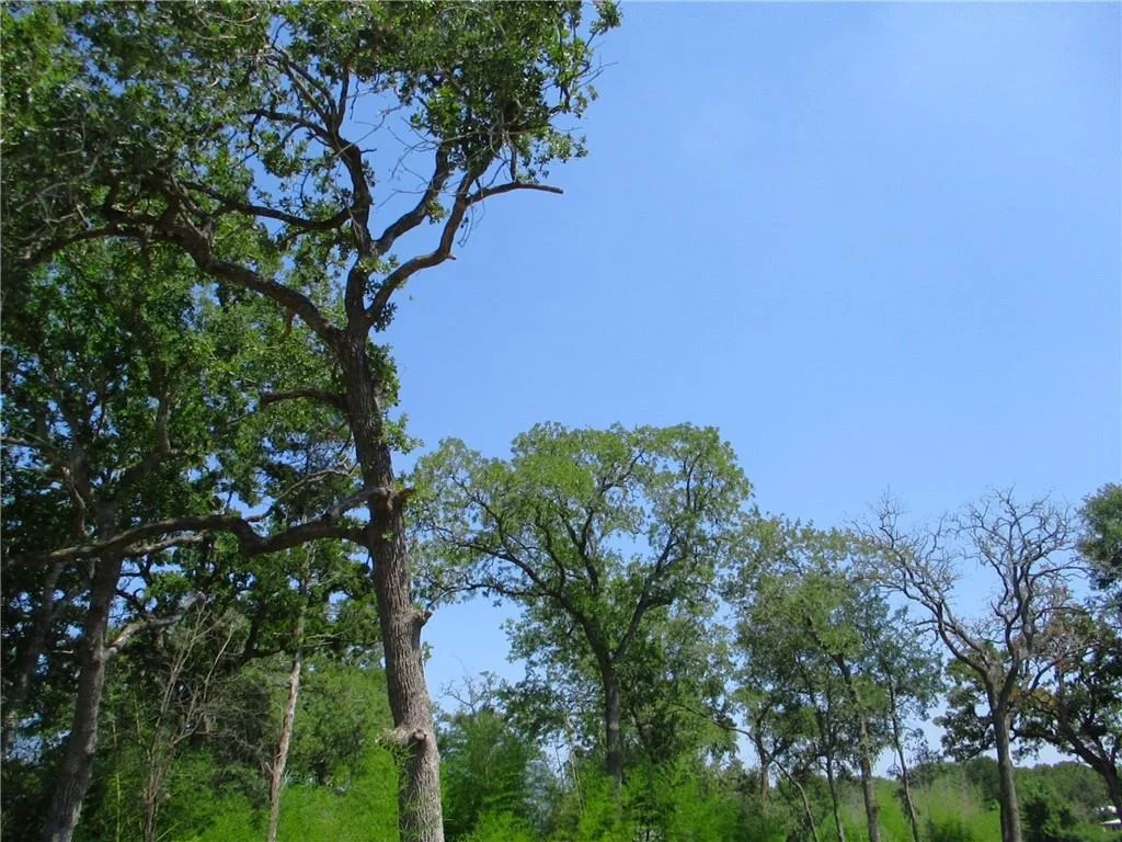 Photo of Lot 37 Moccasin Bend DR