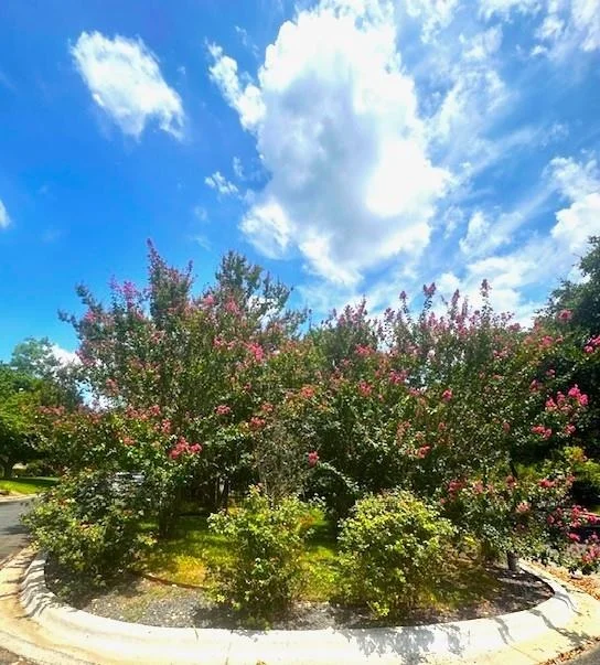 Photo of 3811 Ridgelea DR