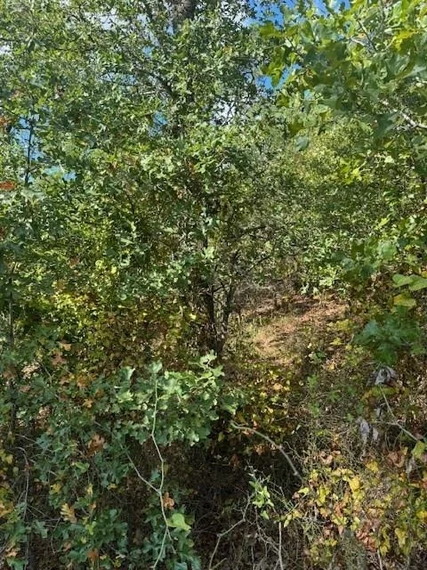Photo of Lots 1338 and 1339 Tahitian DR