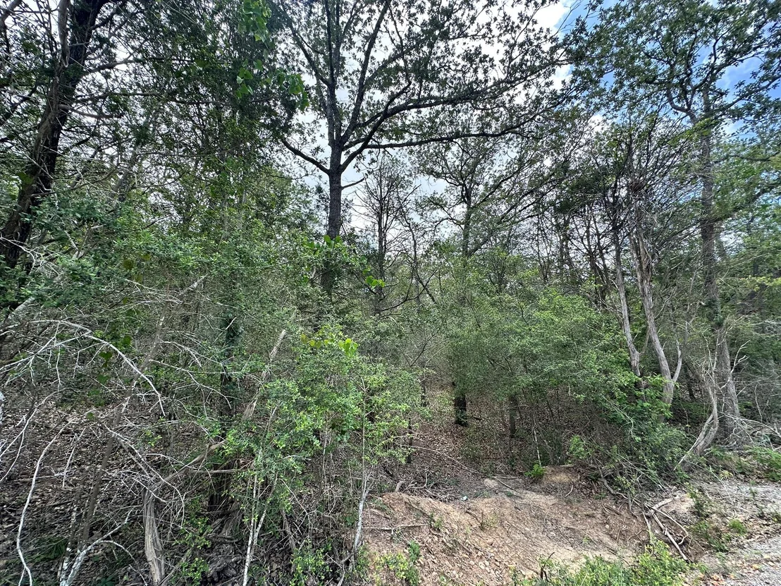 Photo of 173 Kaaawa LN