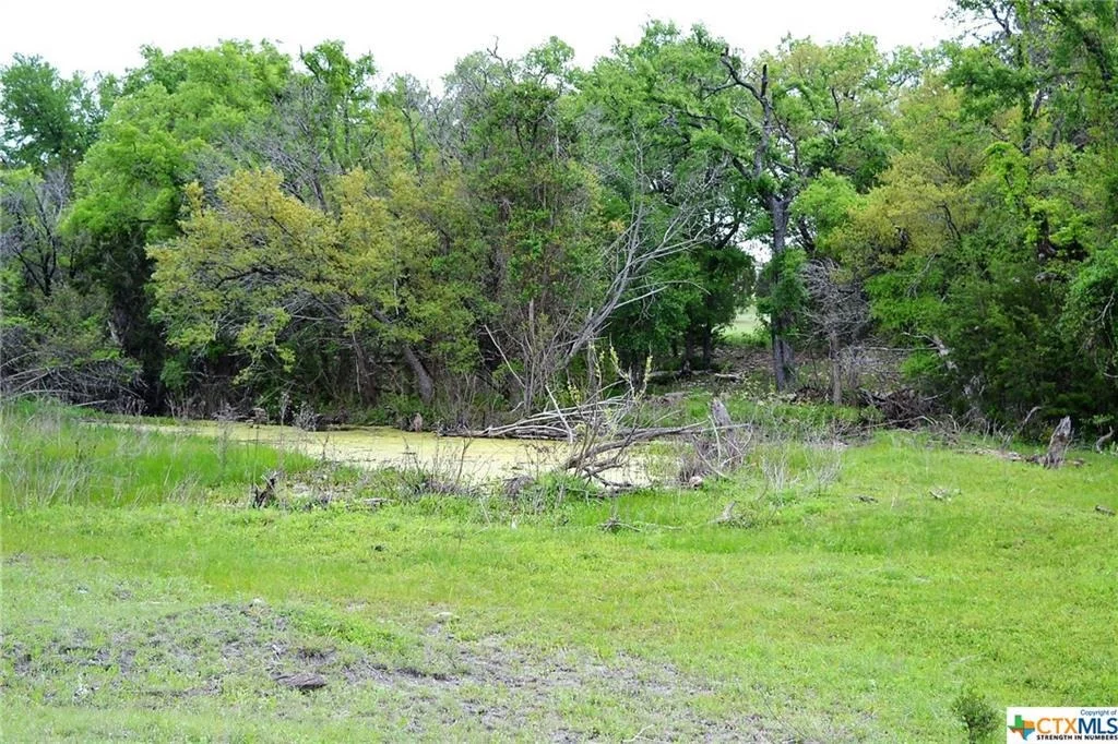 Photo of 1290 County Road 4765