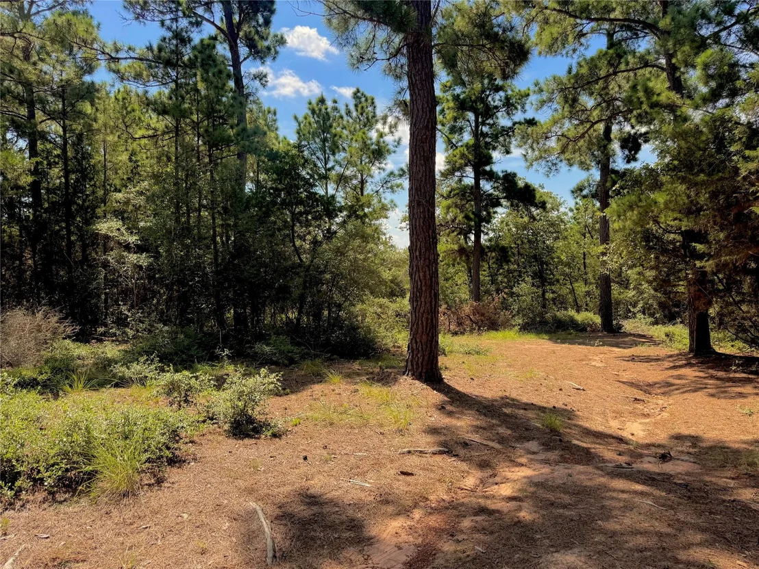 Photo of 445 Pine Valley LOOP