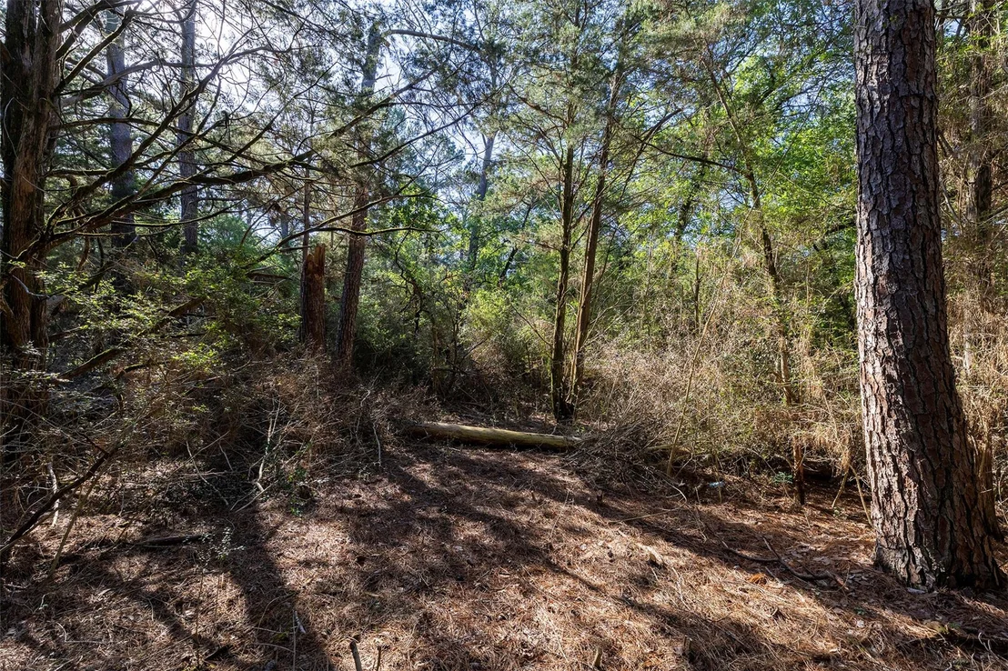 Photo of 133 Wainee DR