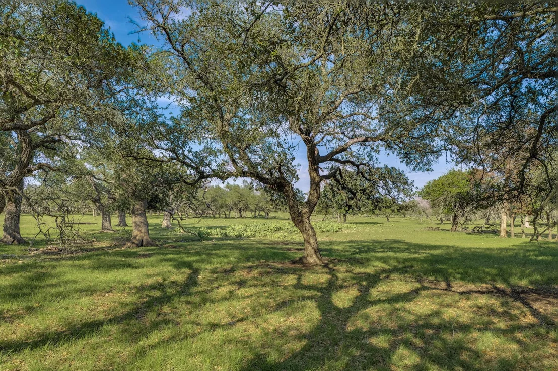 Photo of 1185 County Road 258