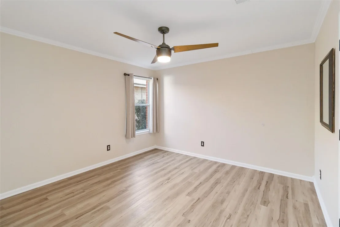 Photo of 203 Remington RUN