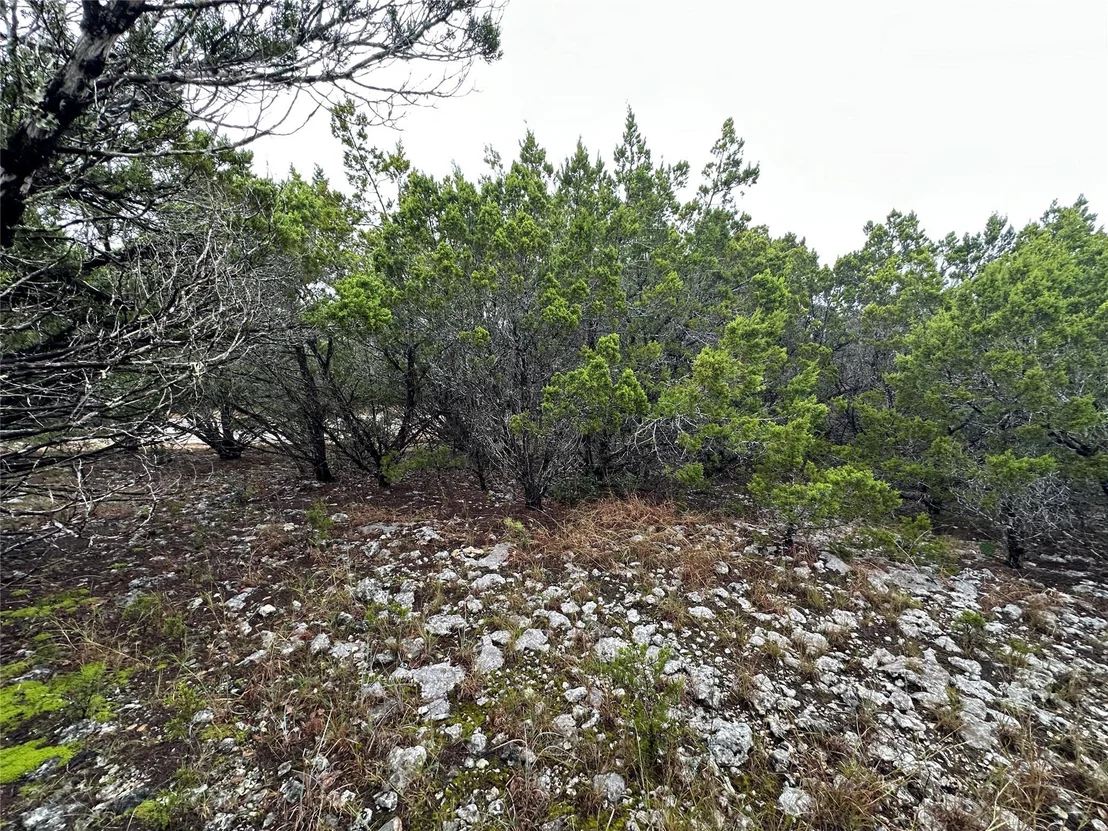 Photo of 20600 Trinity CV