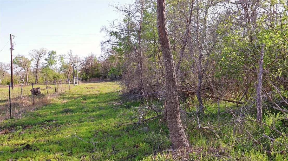 Photo of LOT 13 Peace Pipe