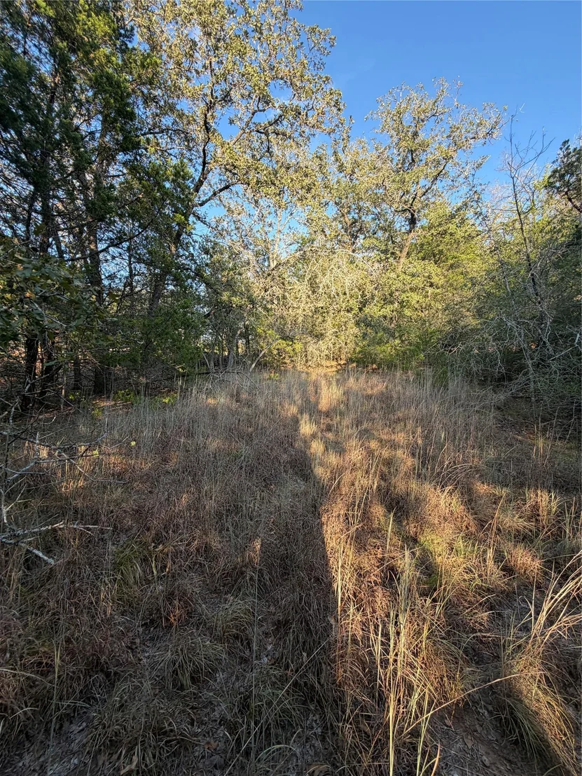 Photo of Lot 194 Kaelepulu DR