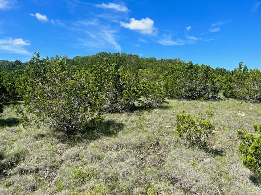 Photo of Lot 652 Wagon Wheel TRL