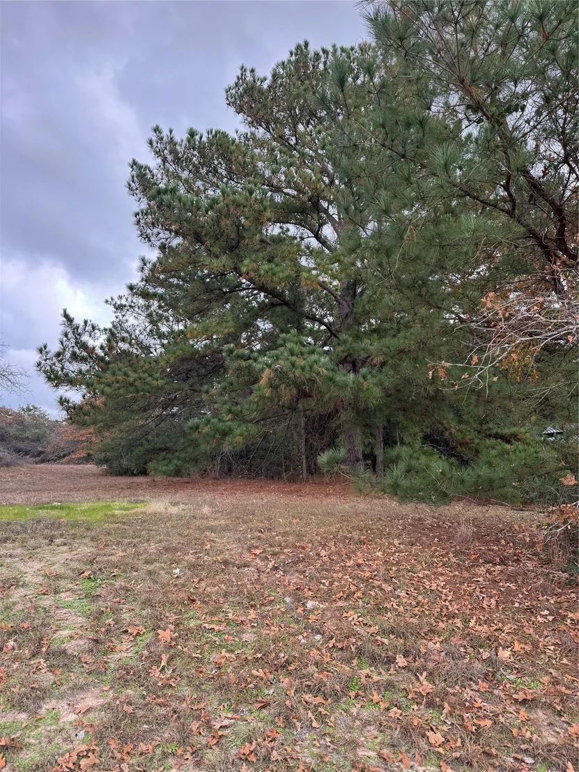Photo of Lot 7 Cool Water DR