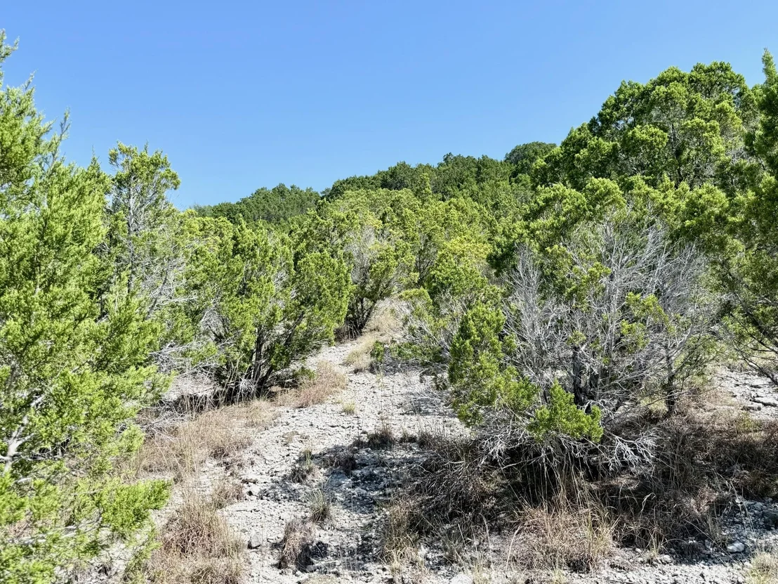 Photo of Lot 136 Spring Hollow DR