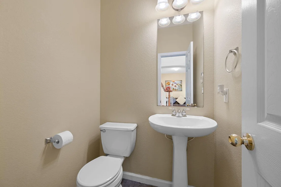 Photo of 707 House Wren LOOP
