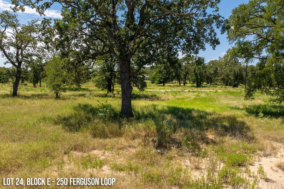 Photo of 250 Ferguson LOOP