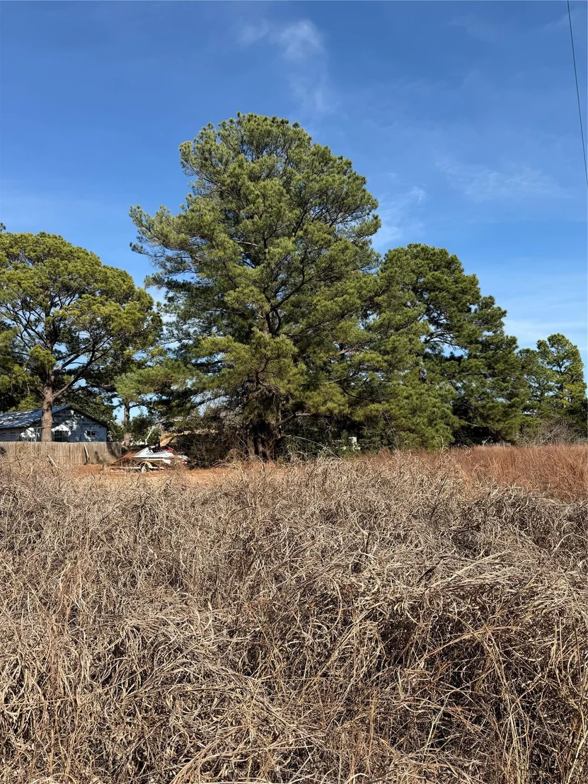 Photo of Lot 20 Indian Oak DR