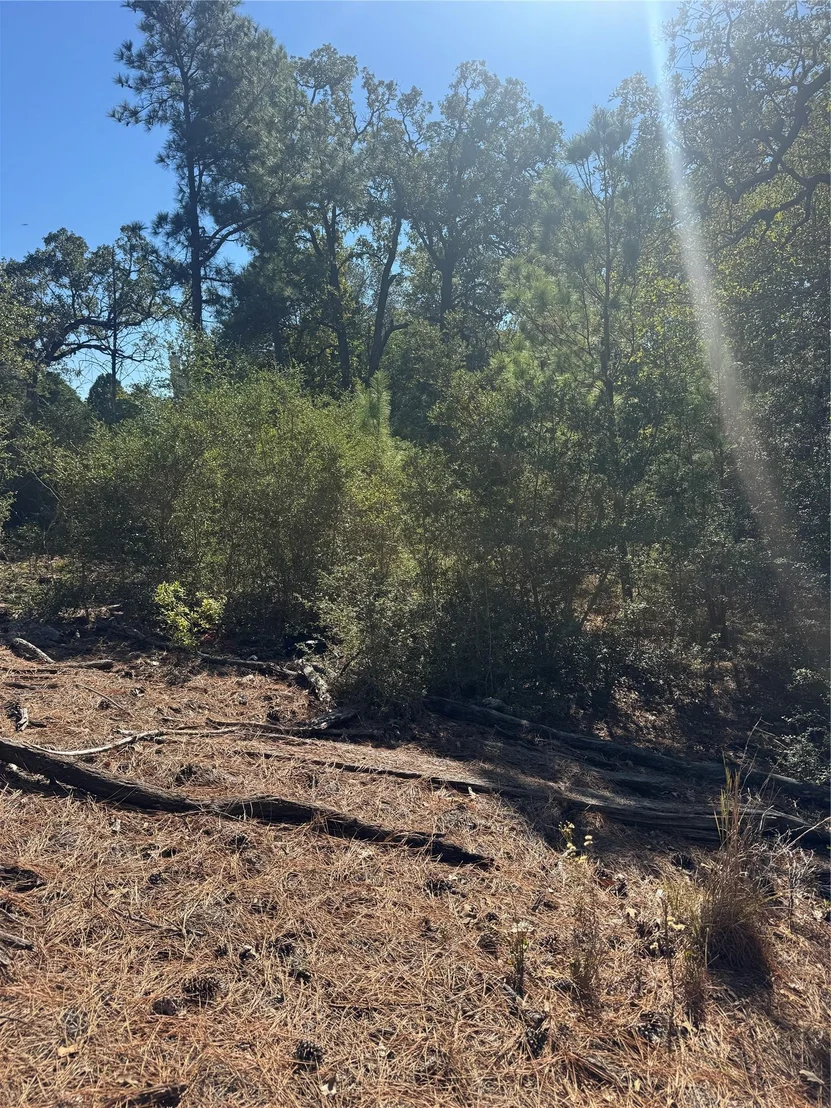 Photo of Lot 97 Kaelepulu DR