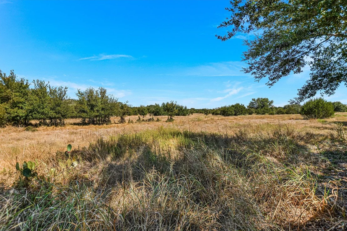 Photo of 215 Bonham LOOP